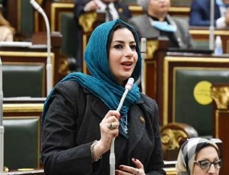 النائبة آيات الحداد