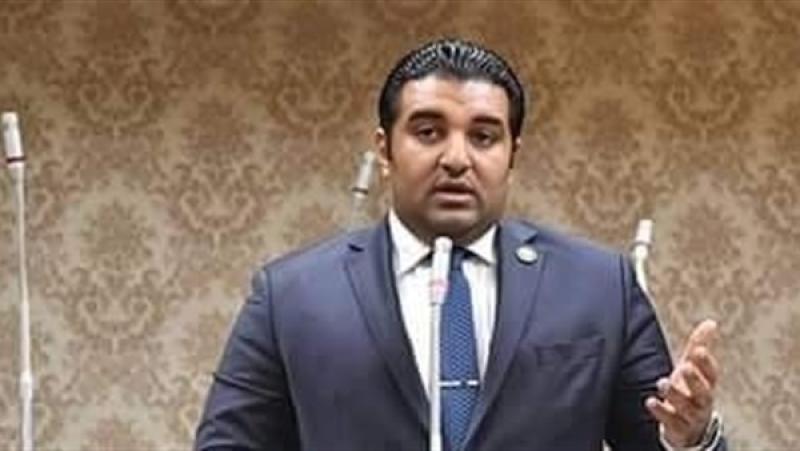 النائب محمود عصام 