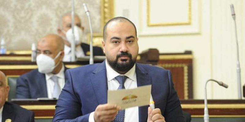 النائب حسام زكى
