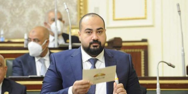 النائب حسام زكي