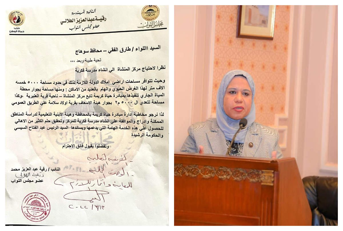 النائبة