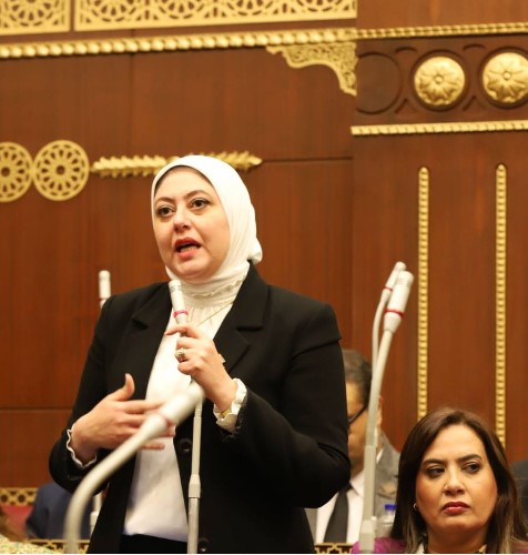 النائبة نهي فتحي