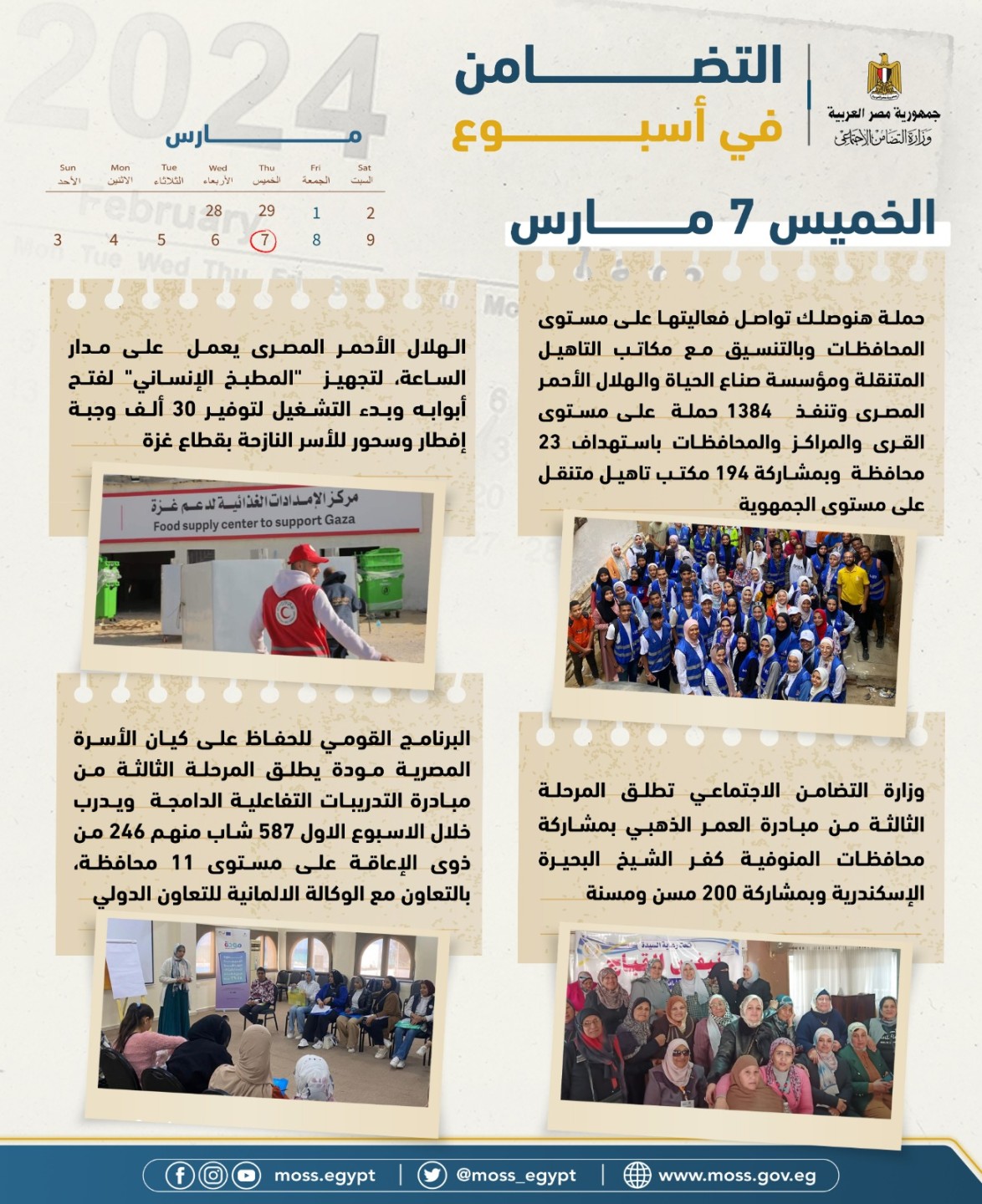 ٦