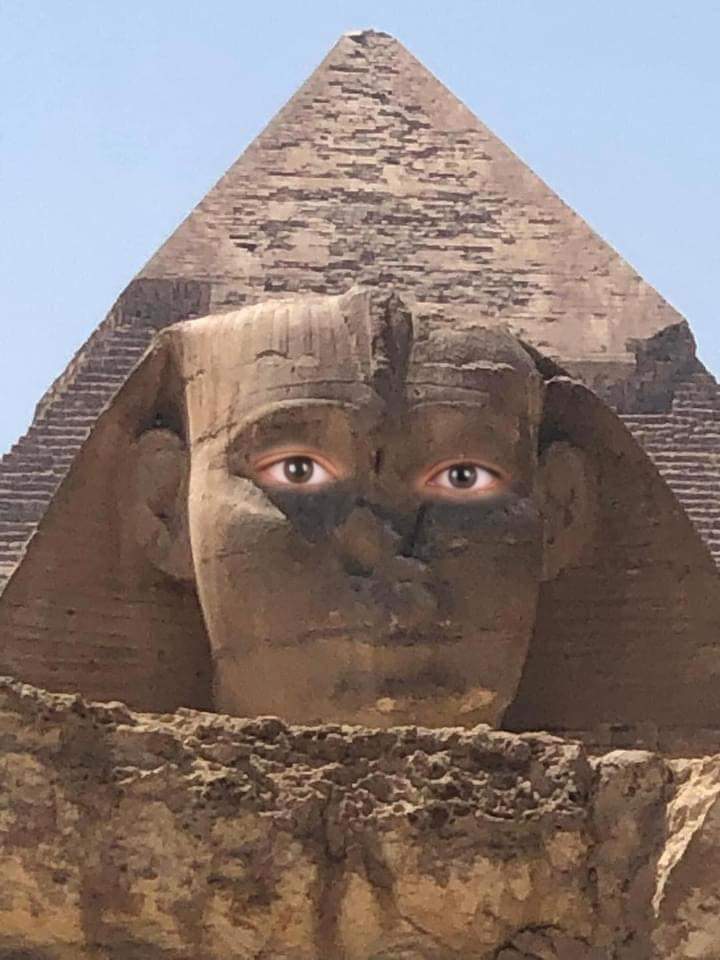 نوم أبو الهول