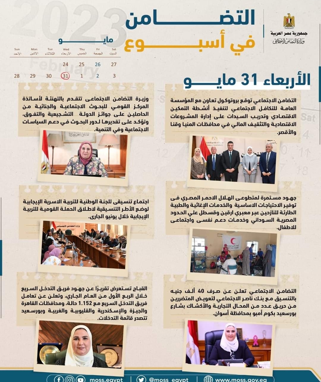٦